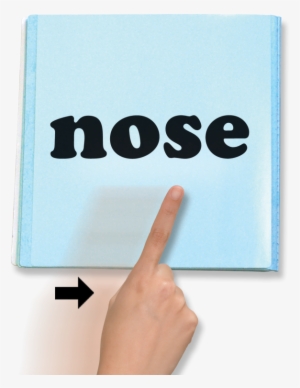 Point To The Words From Left To Right As You Say Them - Buses Frontera Del Norte #3155187