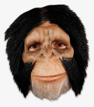 Planet Of The Apes Face Png #3155370