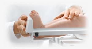 Seca 336 Iii Mobile Electronic Baby Scale #3155430