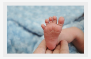 Baby Dedication - Child #3155454