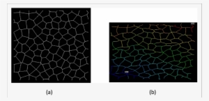 A Periodic Voronoi Honeycomb With 100 Complete Cells - Kate Spade Wilson Road Talya #3158069