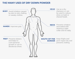 You Can Find Dry Down And Many Other Fabulous Jack - Diagram #3158137