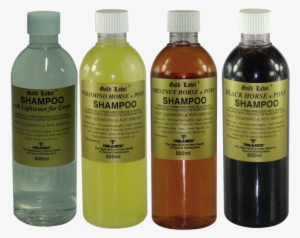 Gold Label Colour Stock Shampoo #3158683