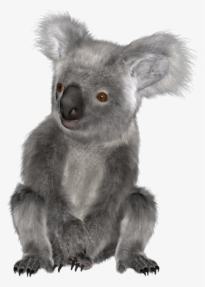 The Newest Koala Stickers On Picsart - Koala #3160703
