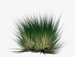 Against Black Background - Grass #3161097