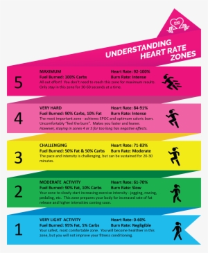 Heart Rate Monitors - Heart Rate #3161237