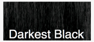 Amanda Black #3161364