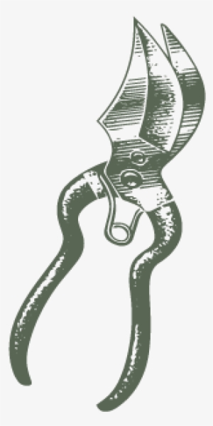 Hedge Cutting #3163207