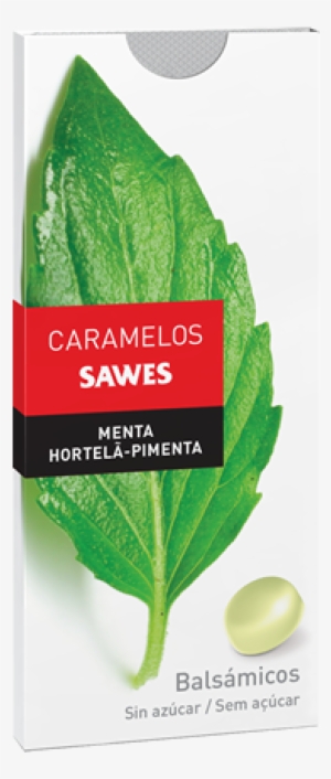 Share - Sawes #3164721