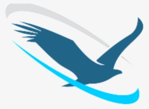 Soaring Eagle Network - Soaring Eagle Logo #3164789 Soaring Eagle Network - Soaring Eagle Logo #3164789