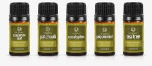 Leaf Collection - Cosmetics #3164873