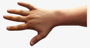 5back - Thumb #3165413