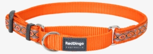 Martingale Snake Eyes Orange Designer Dog Collar #3166329