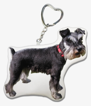 Schnauzer Png #3167222