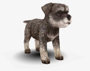 Download Zip Archive - Schnoodle #3167301