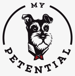 How To Stop Your Dog From Chewing - Best Friend Png Dog #3167369