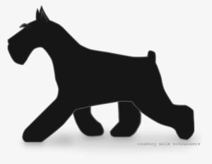 Picture - Transparent Schnauzer #3167393