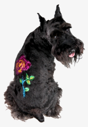 Glitter Gel Tattoo Stencil Valu Pack Free Shipping - Glitter Tattoo Dogs #3167929