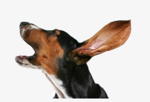 Bark Us A Line Or Two - Dog Barking No Background #3168136