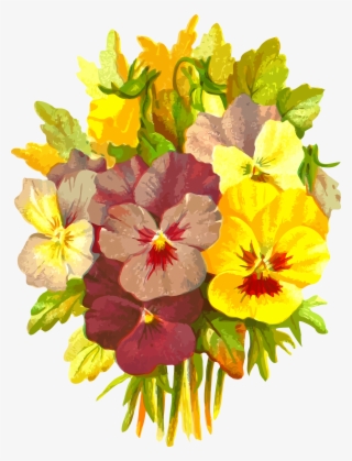 Pansies - Vector Graphics #3168261