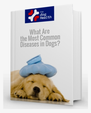 Most Common Diseases In Dogs - Sick Puppy Dogs #3168328