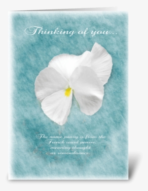 Thinking Of You Pansy Greeting Card - Arum #3168559