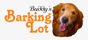 Buddy's Barking Lot Logo #3168721