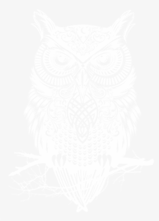 Owl Transparent - Year At Animal Academy [book] #3169055