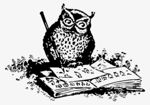 Black And White Owl What To Draw And How To Draw It - Owl Png #3169379