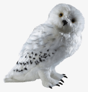 hedwig owl teddy