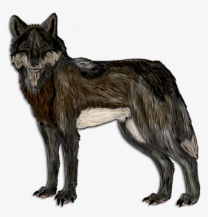 Wolf Drawing - Wolf #3169671