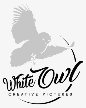White Owl Creative Pictures Company Logo, Providing - Accipitridae #3170010