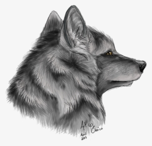 Drawings Drawing Ideas Cool Wolf Drawings Luxury Cool - Zorro Dibujo A Lapiz #3170170