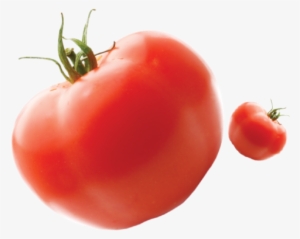 Felfel Felfel2 Felfel - Tomato #3171053