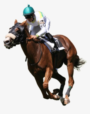 Buy Tickets - Party Till Dawn Racehorse #3173528