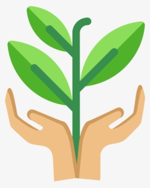 To Participate - Plant Dividers Png #3173529