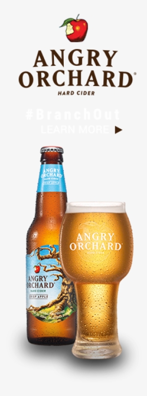 This Promotion Is No Longer Available - Angry Orchard Cider - 12 Pack, 12 Fl Oz Cans #3174068