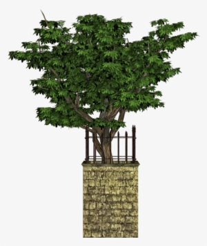 Share This Image - Houseplant #3174174