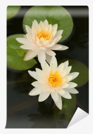 Canvas Print #3174212