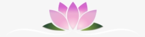 Sacred Lotus #3174236 Sacred Lotus #3174236