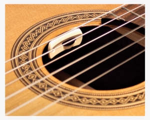 Lr Baggs Anthem Sl-c Acoustic Pickup (anthem Sl Classical) #3175241