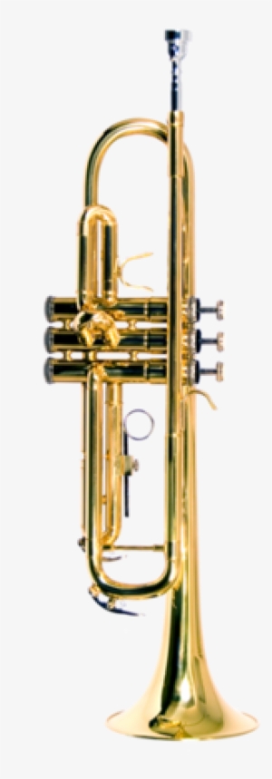 Bajo Quinto - Trumpet Color #3176180