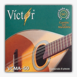 Privacy Notice - - Mandolin #3176184