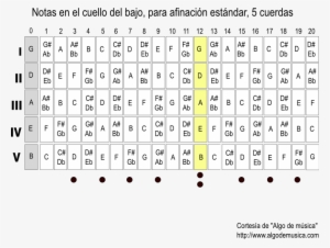Diagrama Notas Bajo De 5 Cuerdas - Leer Tablaturas Bajo Electrico 5 Cuerdas #3176263