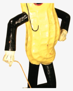 Description - Pocket #3176962