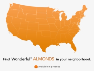 Do Your Almonds Come In Contact With Peanuts Or Any - Hillary And Trump States #3177306