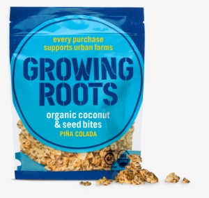 Growing Roots Organic Coconut And Seed Snacks Pineapple #3177499