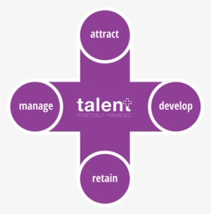 4zones - Illustration #3179644