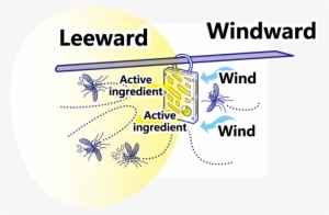 【qr】虫コナ風上素材eng - Kailua #3179902