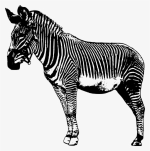 Zebra Clipart Big - Realsitc Zebra Cartoon Png #3181113